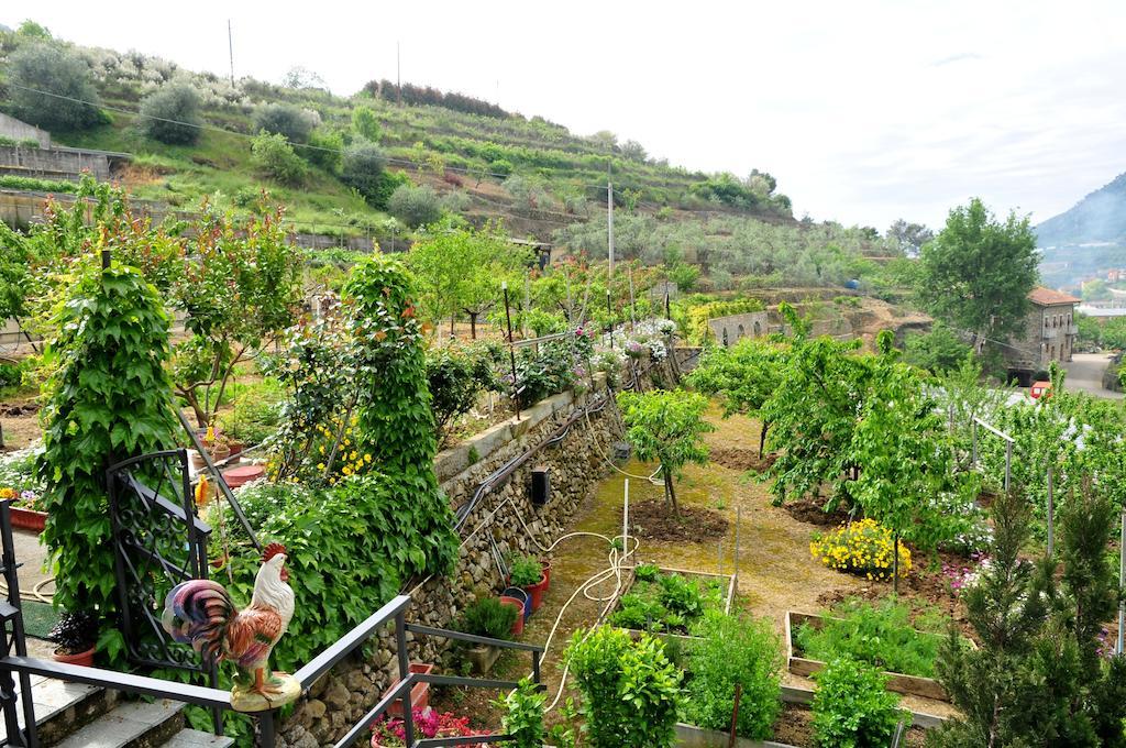 Le Rose Villa San Biagio della Cima Екстериор снимка