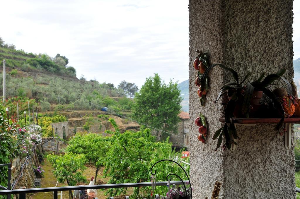 Le Rose Villa San Biagio della Cima Екстериор снимка